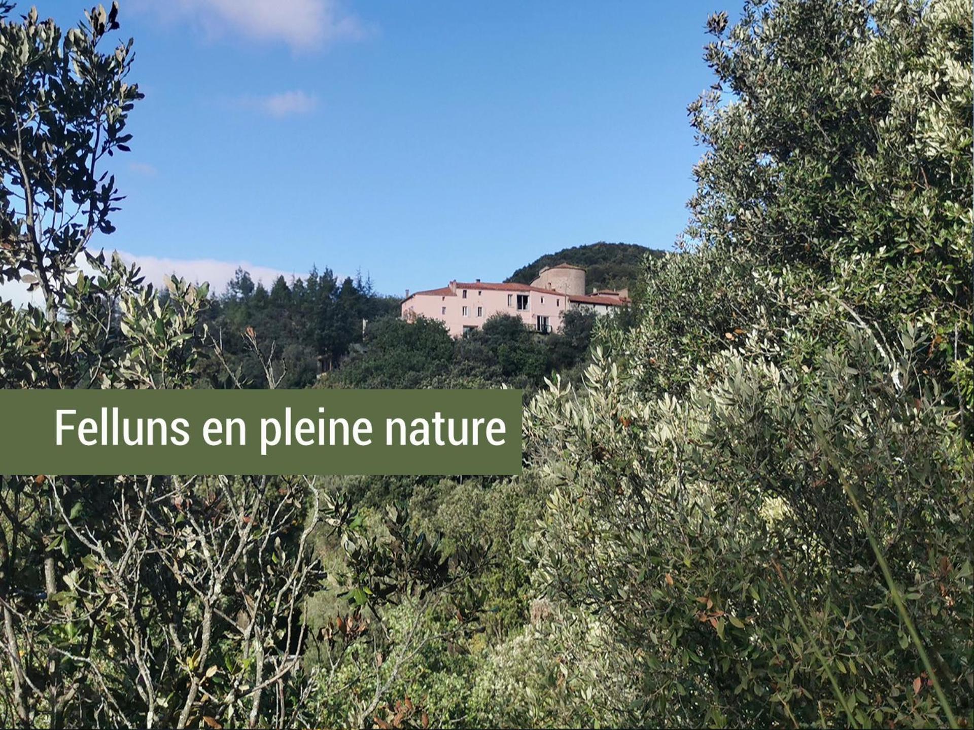 Pyrenees Mon Amour Felluns Eksteriør bilde