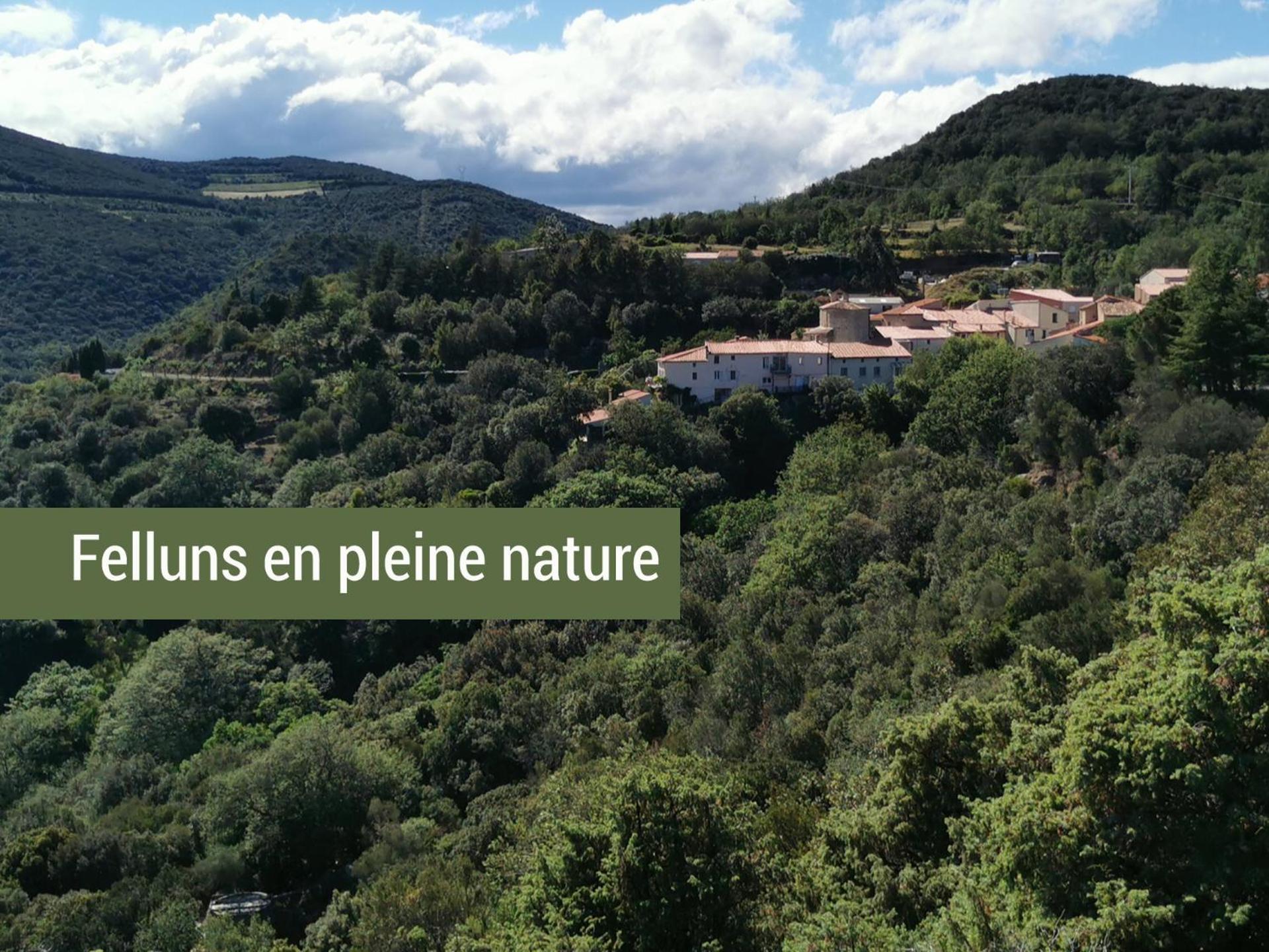Pyrenees Mon Amour Felluns Eksteriør bilde